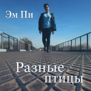 Разные птицы