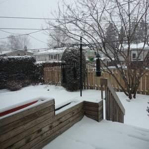 You Should Desertify the Deserts