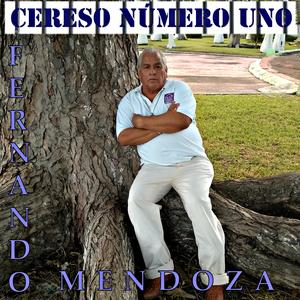 Presentación (narración)