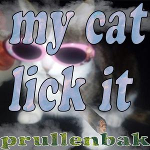 My Cat, Lick It