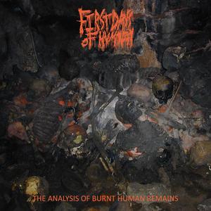 Head Wrapped in Bubble Wrap and Sealed within a Paper Bag