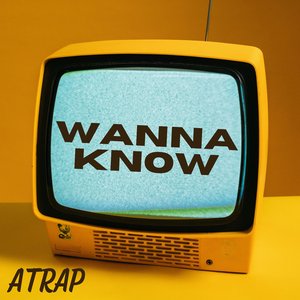 Wanna Know