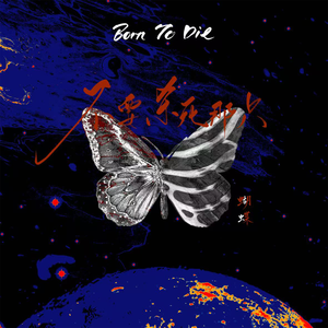 不要杀死那只蝴蝶-【黄星1125生贺曲】