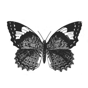 黎允文-赵子龙（脚踝骨折患者mist remix）