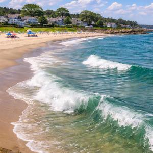 Swimming in the Digital Tide