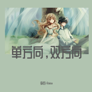 单方向，双方向