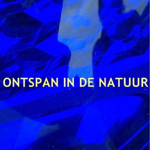 meeuw - Ontspan In De Natuur