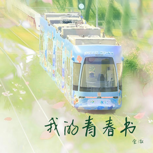 我的青春书