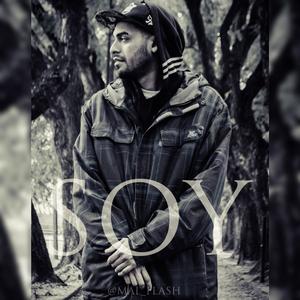 Soy