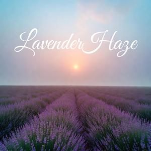 Lavender Haze