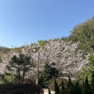 떠나겠지 다 demo (Feat. 안경잰이)