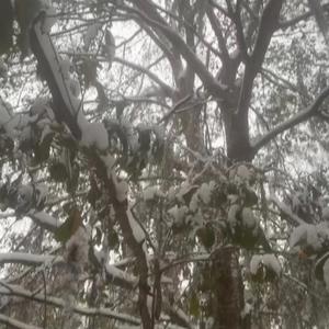 Deja vu.. (feat. undercxv3r)