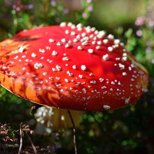 钢琴白噪音引你入眠