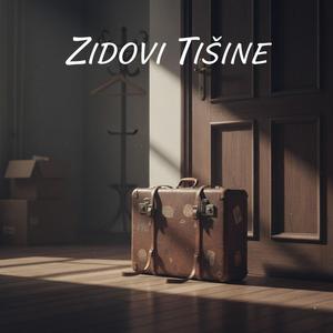 Zidovi tišine