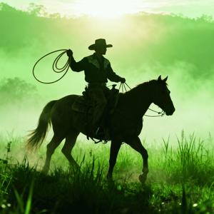 Estrada de Barro e Asfalto