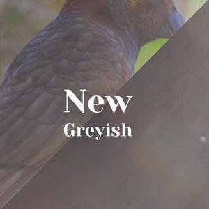 Mercifulness Directly