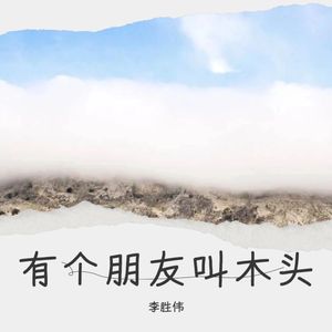 有个朋友叫木头