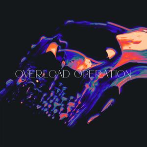 OVERLOAD OPERATION 超载运行