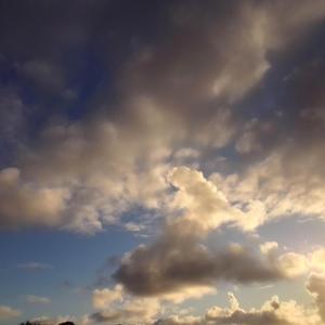 Sacred Spaces, Shared Hearts