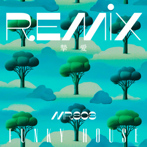 挚爱 FUNKY HOUSE REMIX