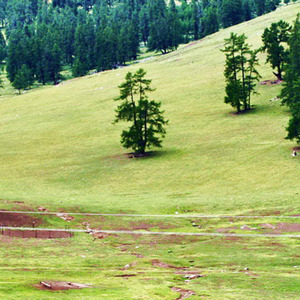 问问谁能比我更美