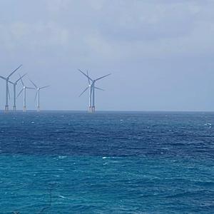 不要因为别人都交卷了就乱填答案