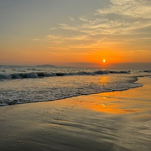 最痛的是我的心甘情愿