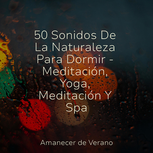 Escape Armonioso de Miraje