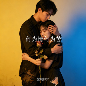 何为情何为苦
