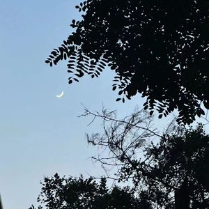 夏夜最后的烟火