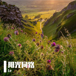 阳光同路(对唱版)