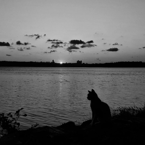 我的心情总是灰蒙蒙