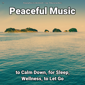 Relaxing Music Pt. 77