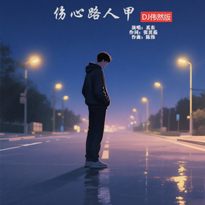 伤心路人甲-DJ伟然版-伴奏
