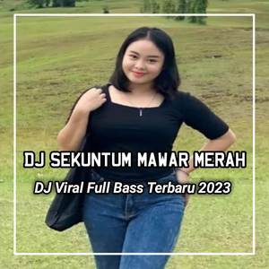 DJ BUNGA MAWAR MERAH SATU TANDA CINTA YANG BERARTI BAHWA KAU PADAKU - SEKUNTUM MAWAR MERAH