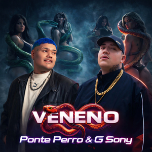 VENENO