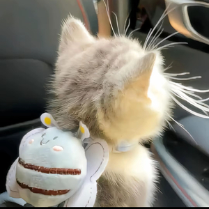 绝对占有相对自由