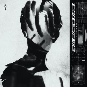 Pareidolia (Instrumental)