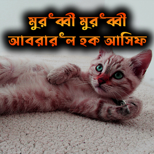 মুরুব্বী মুরুব্বী আবরারুল হক আসিফ