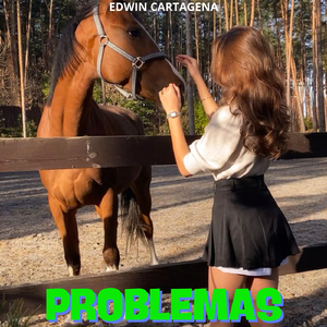 Problemas