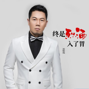 终是烈酒入了胃-DJ版