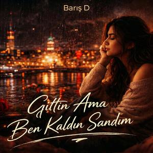 Gittin ama ben kaldın sandım