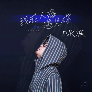 我在人海遇见你 (DJR7版伴奏)