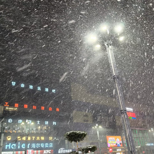 我寄人间雪一封