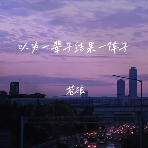 以为一辈子结果一阵子