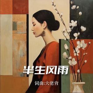 半生风雨
