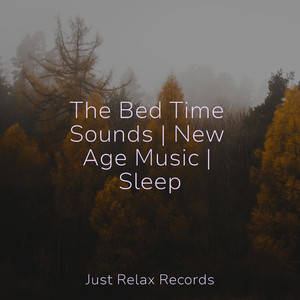 Whispers of a Butterfly