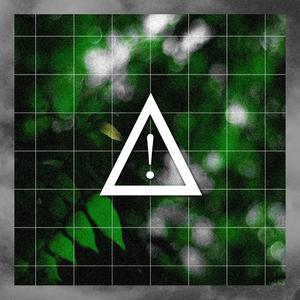 Coniferous