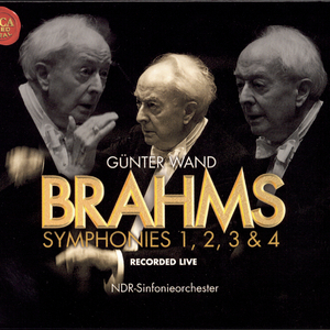 Symphony No. 4 in E Minor, Op. 98:I. Allegro non troppo