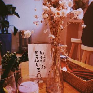 九号球_20231028_011346